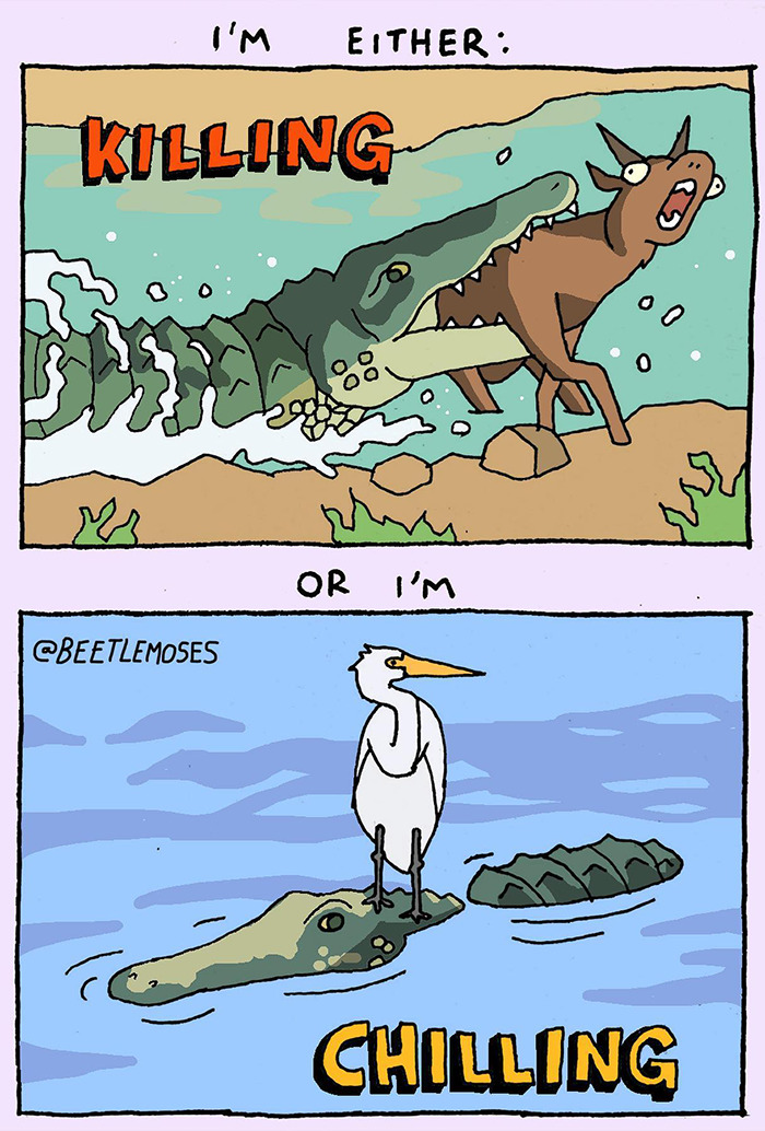 Hilarious Nonsensical "Beetlemoses" Comics With A Dark Twist