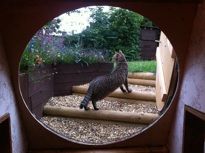 “Hobbit Hole” Was A DIY Project By Ashley Yeates, Who Decided To Build A Tolkien-Inspired Underground House In His Backyard “Hobbit Hole” Was A DIY Project By Ashley Yeates, Who Decided To Build A Tolkien-Inspired Underground House In His Backyard