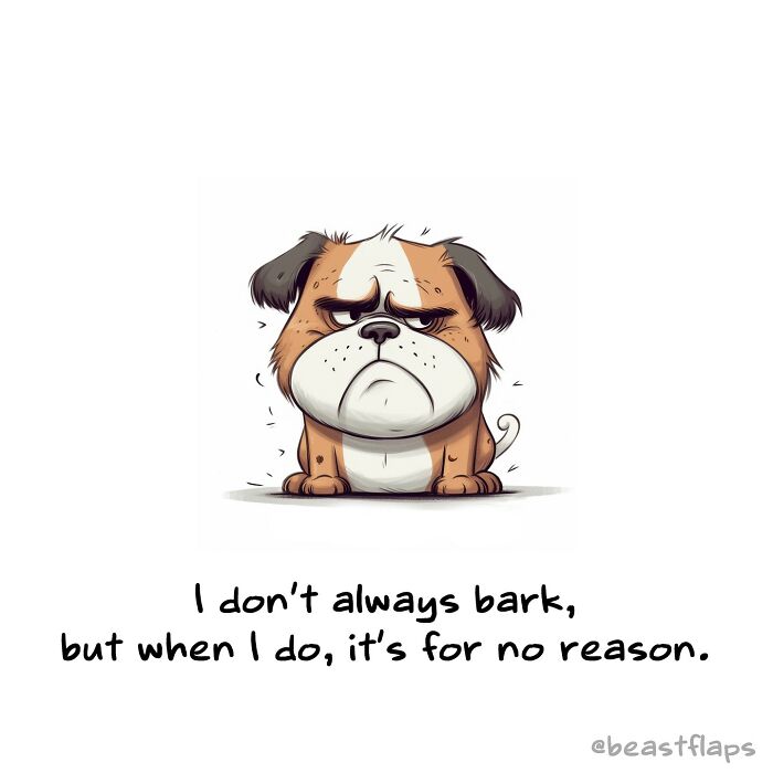 I Created 100 Pages Of Sassy Animals For My Book 100 Sassy Animals