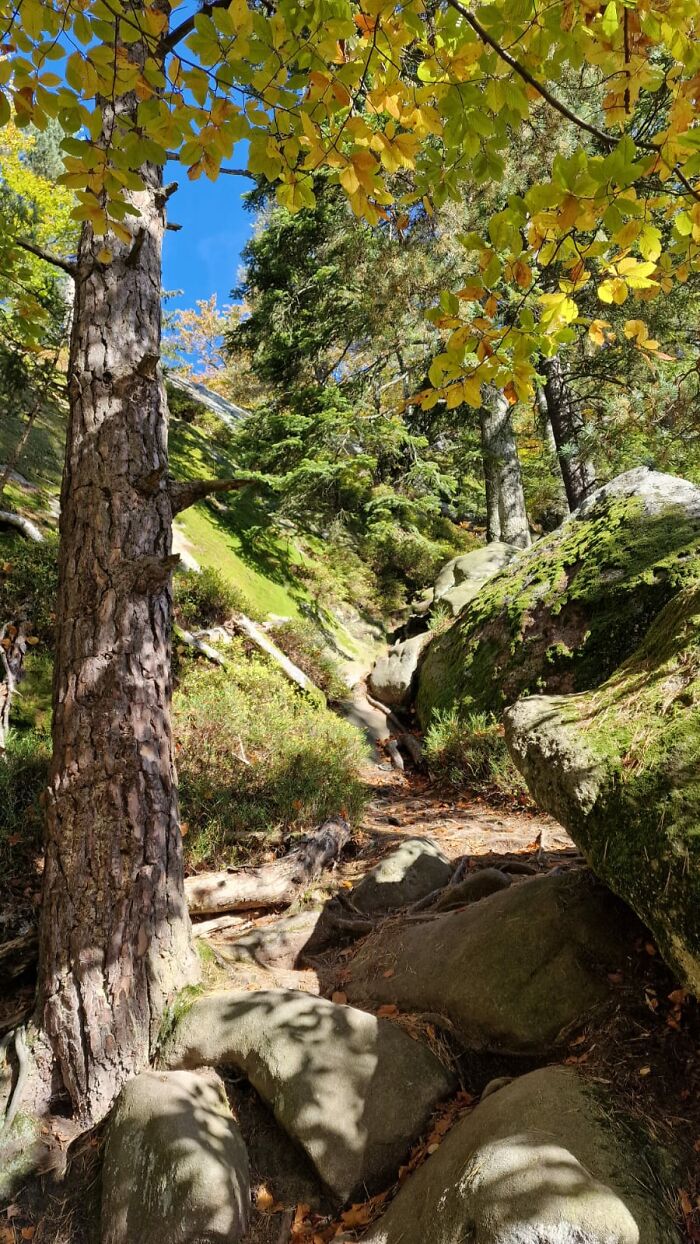 Pulcinske Skaly, Czechia