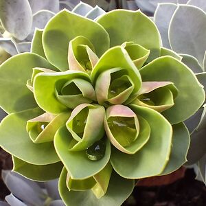 malgorzatagodziebiewska avatar