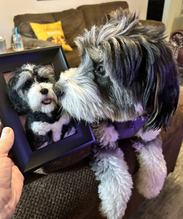 Artist Warms The Hearts Of Tutors With Felt Dolls Of Their Pets