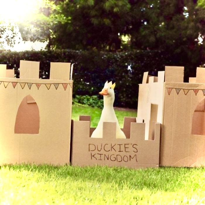 My Favorite Images From Boredpanda