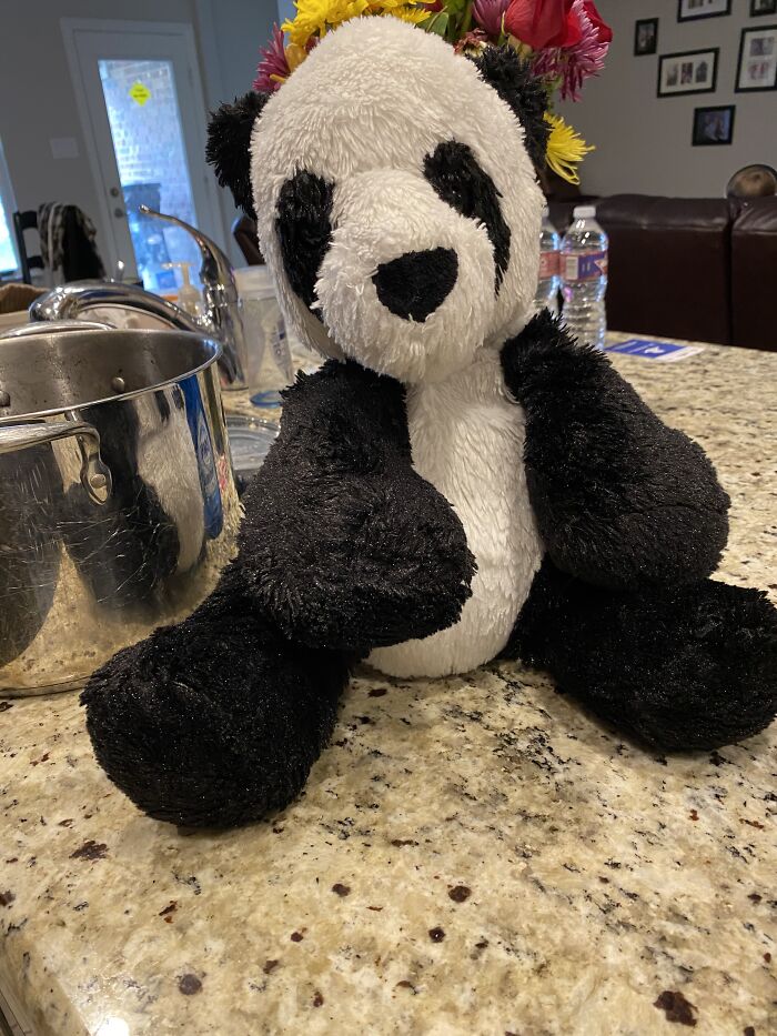 First Stuffed Animal I Ever Got. Charlie Is Its Name