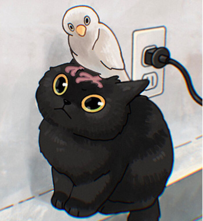 My Favorite Images From Boredpanda