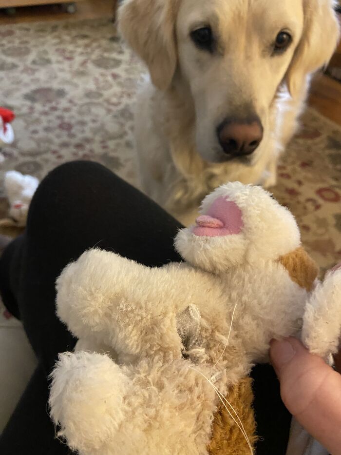 Surgery Almost Completed