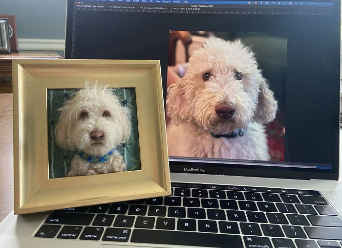 Artist Warms The Hearts Of Tutors With Felt Dolls Of Their Pets