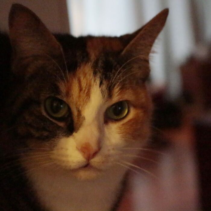 My Mischief, Passed 12/20/19