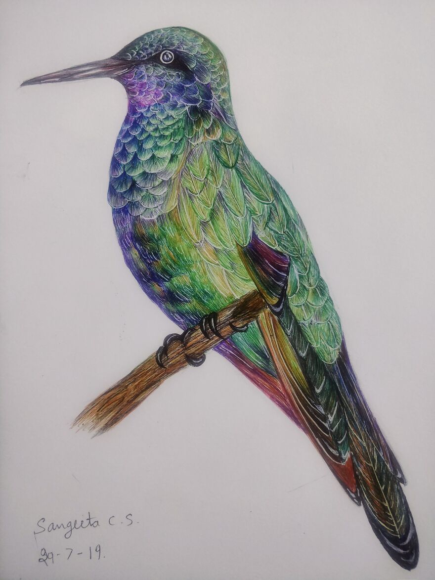 Amazing Pen Art By Sangeeta Cs (7 Pics)
