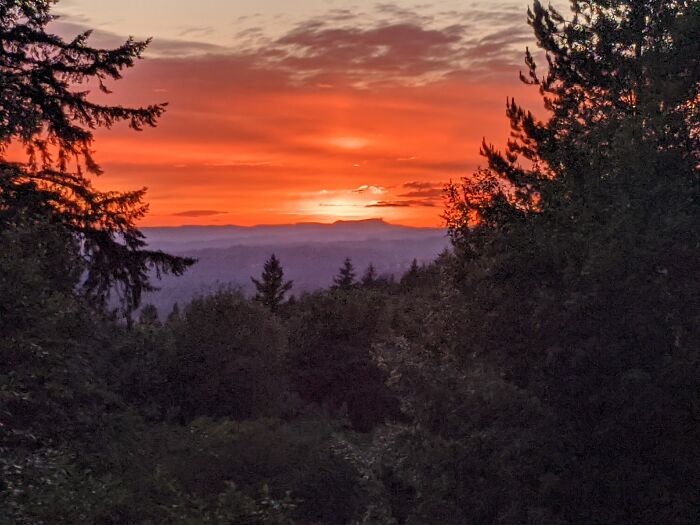 Beauty In Nature...sunset