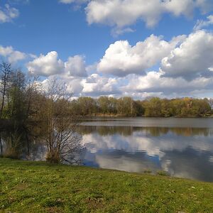 karin_lange_1 avatar