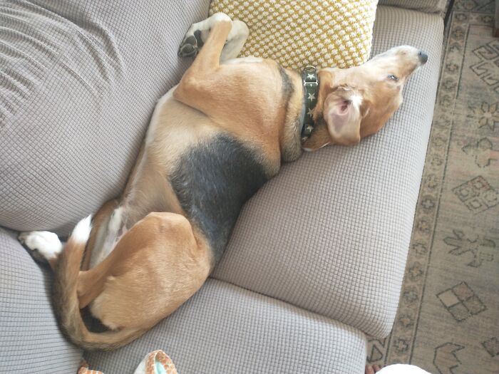 With My Boy Is Where I Am Happiest