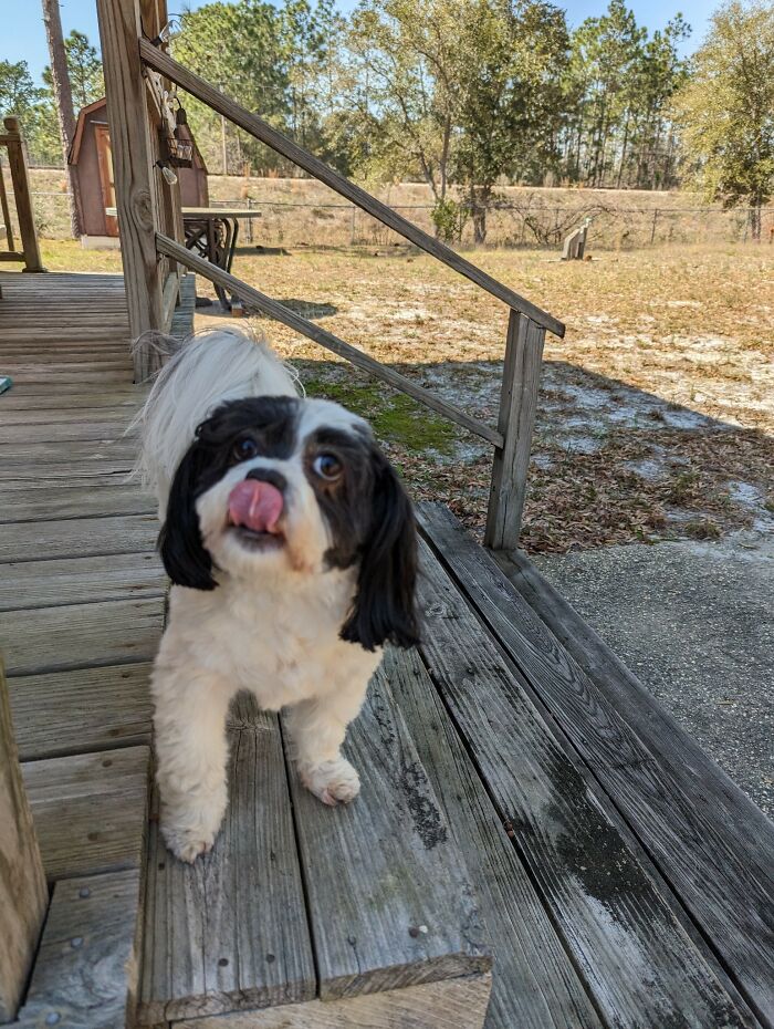 Lil Bit Visits Southport