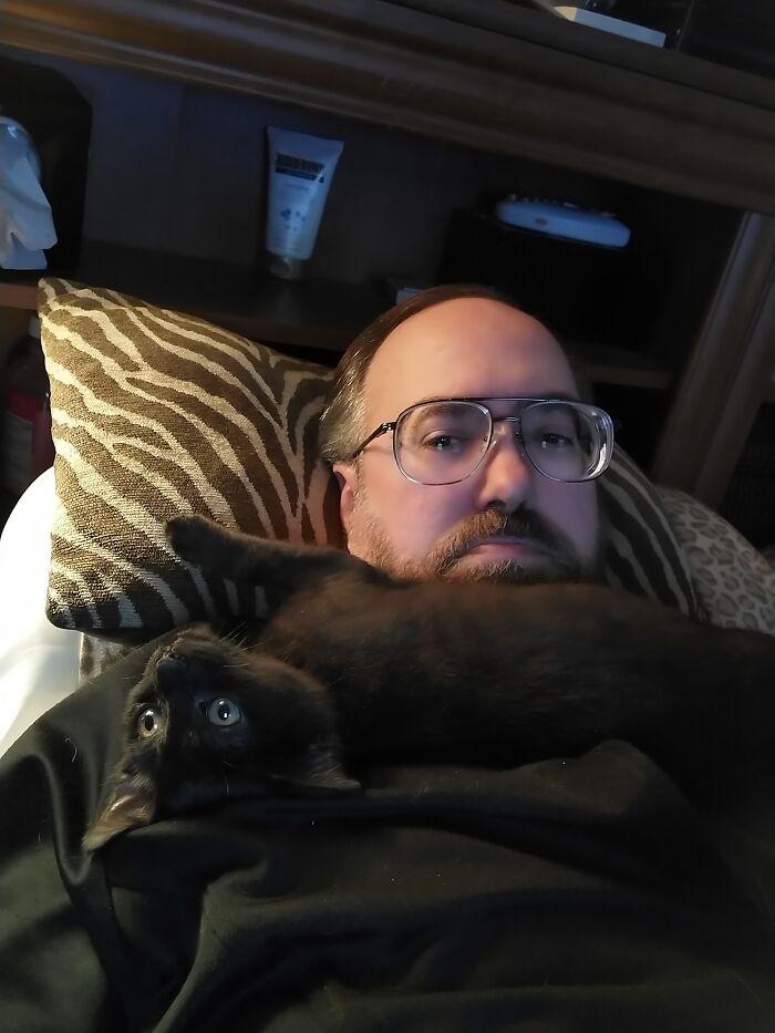 Shadow Does Not Really Understand The Concept Of Personal Space