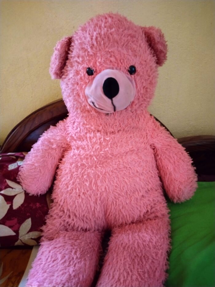 Pink Bear