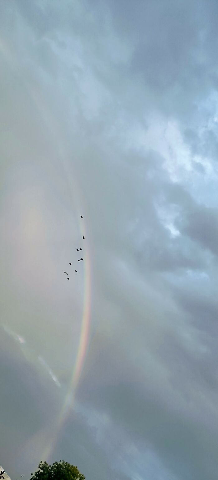First Rainbow Of The Year🌈 🌫