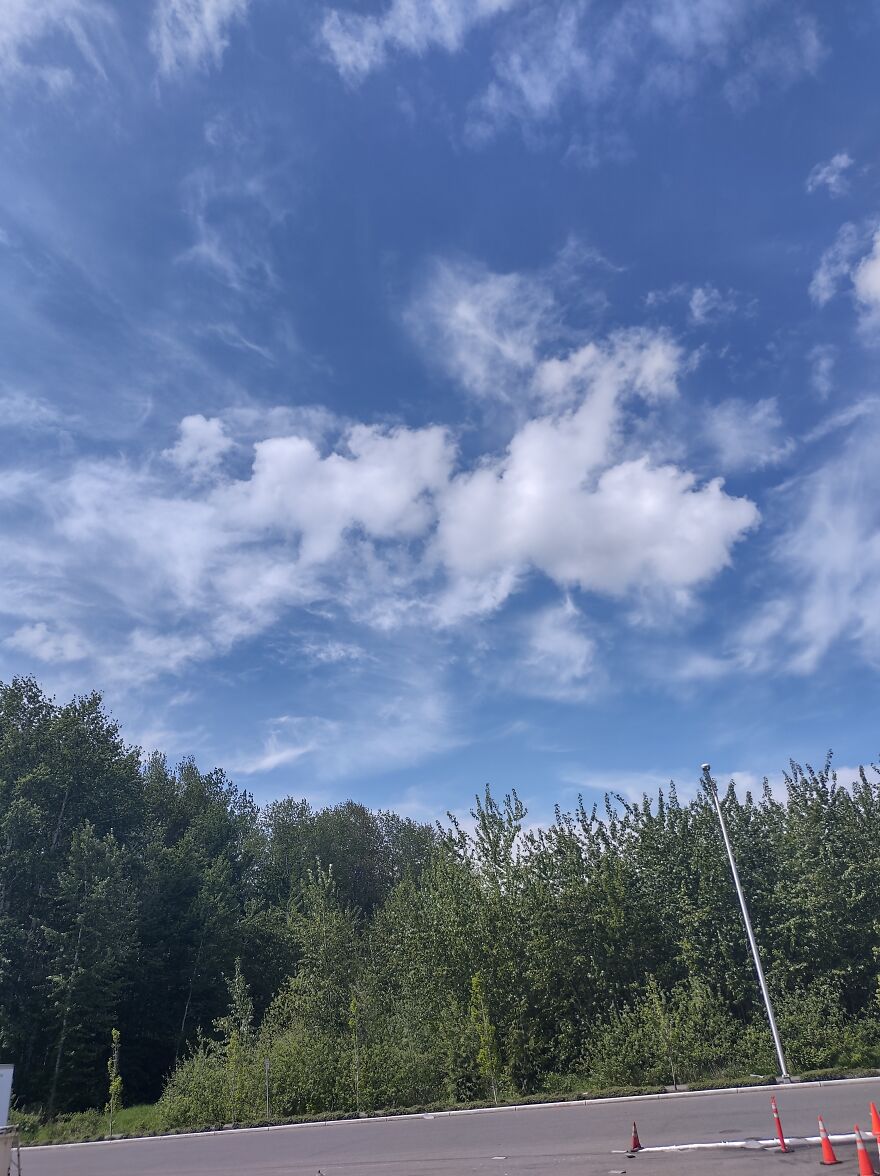 Days In My Life, In Tacoma, Wa.