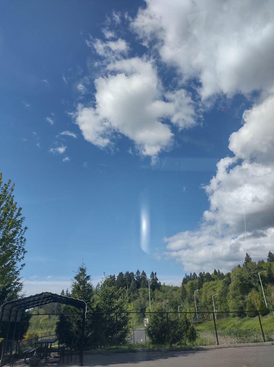 Days In My Life, In Tacoma, Wa.