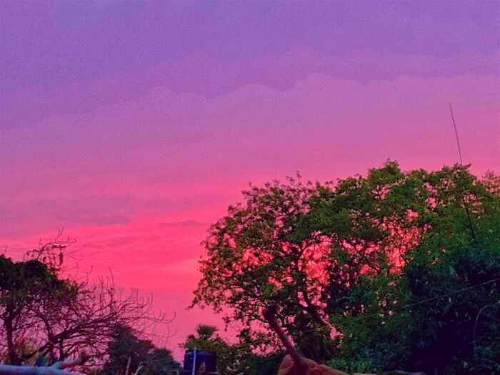 The Phenomena Of Pink Sunset