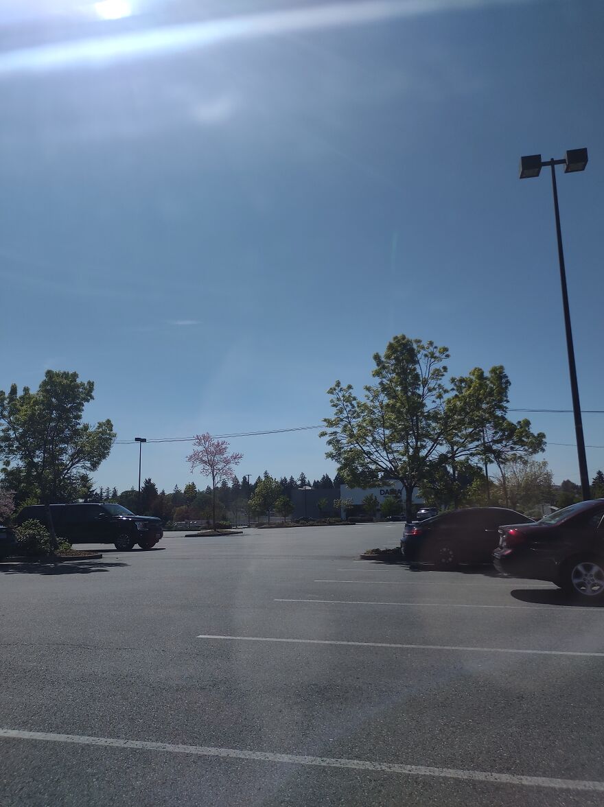 Days In My Life, In Tacoma, Wa.