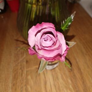 jessicadawson avatar