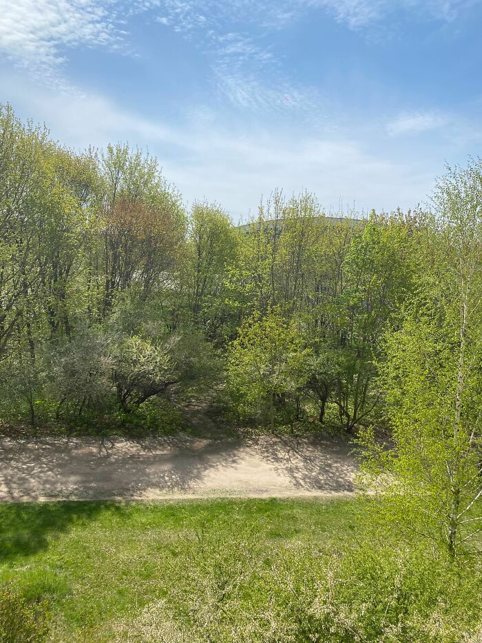 Nothing Spectacular, But Hey, It's Spring At Least!