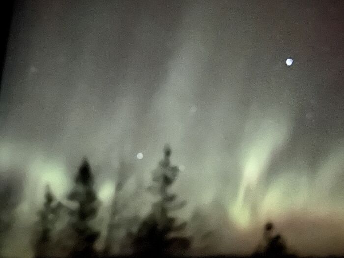 1 Month Ago Outside Bedroom Window