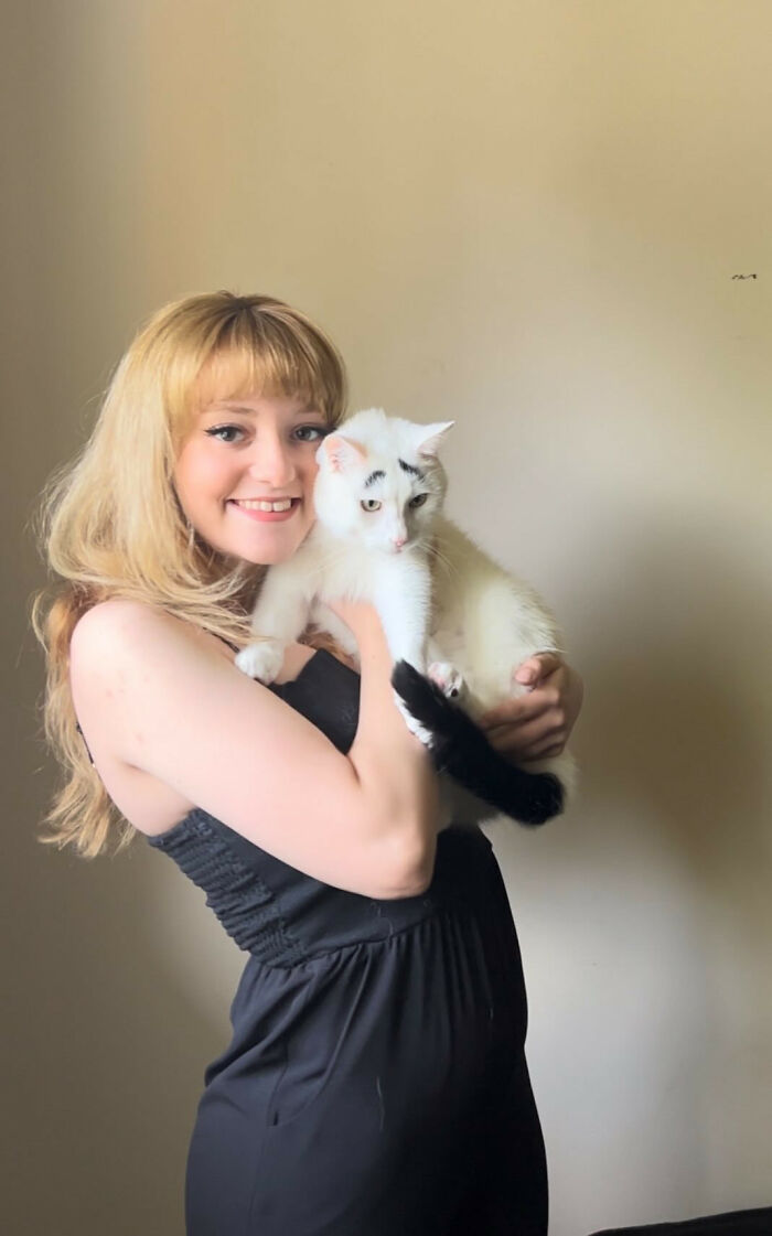 Woman hugging white cat with eyebrows Woman hugging white cat with eyebrows
