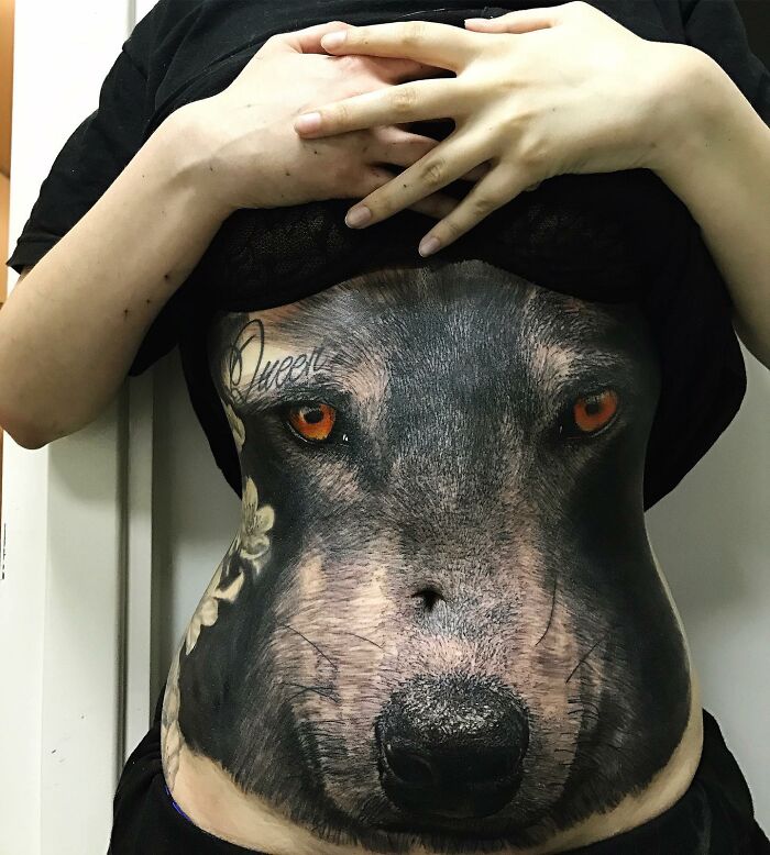 Stomach tattoo of a realistic wolf face with vivid orange eyes, showcasing advanced tattoo art skills.