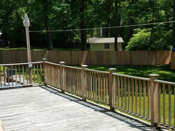 Back Yard. New Fence So We Can Get A Dog