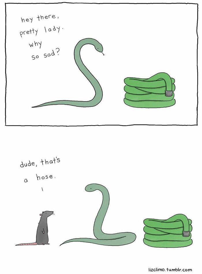 New Cute And Fun Illustrations Showing Strange Situations From The Animal World