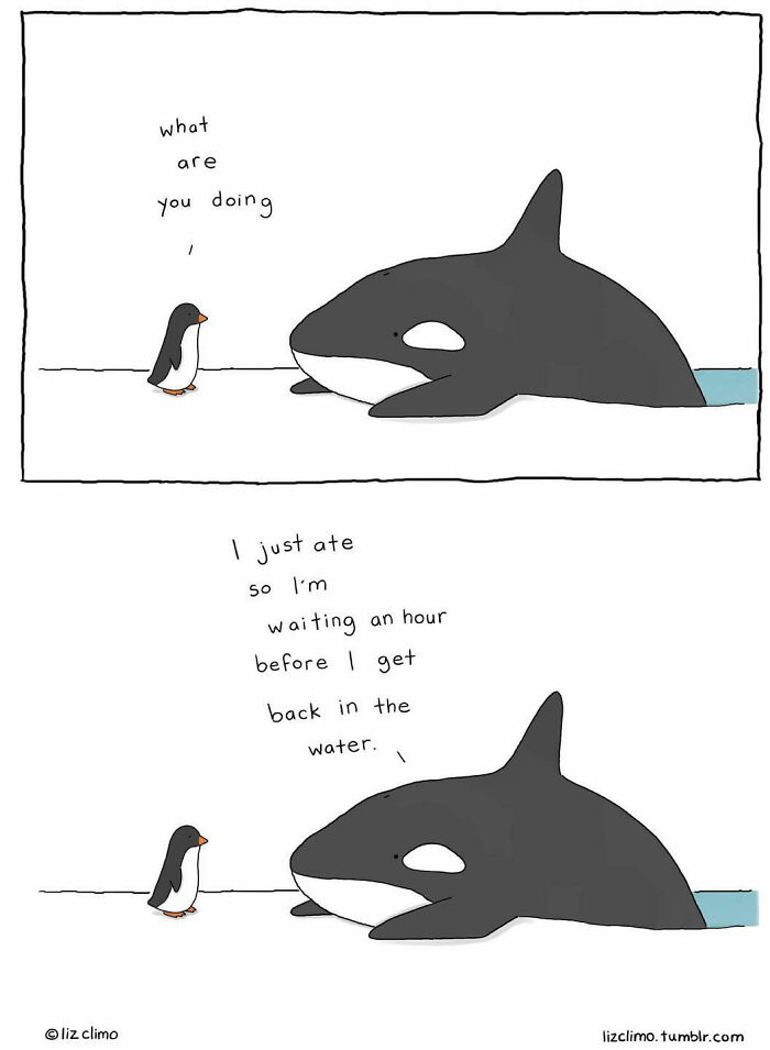 New Cute And Fun Illustrations Showing Strange Situations From The Animal World