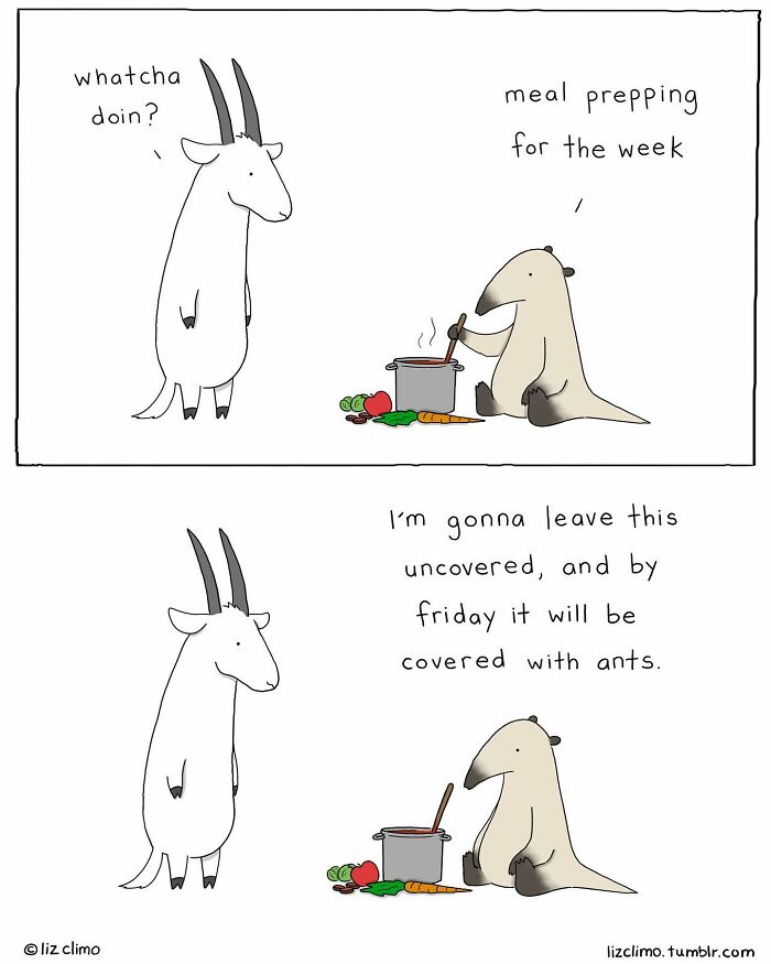 New Cute And Fun Illustrations Showing Strange Situations From The Animal World