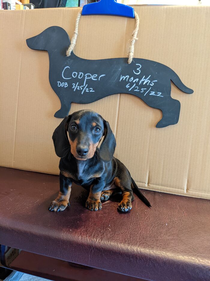 Turbo Mini Cooper Aka "Cooper."