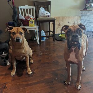 christopherhasse avatar