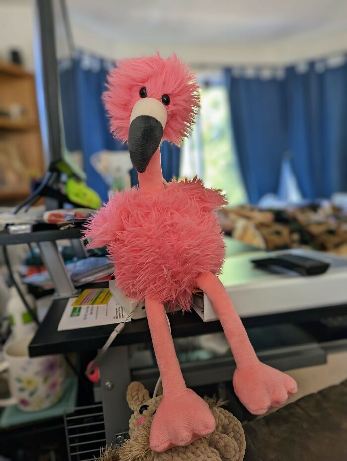 For My Birthday In March