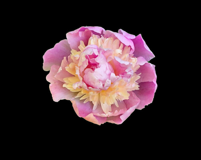 Looks Like A Watercolor