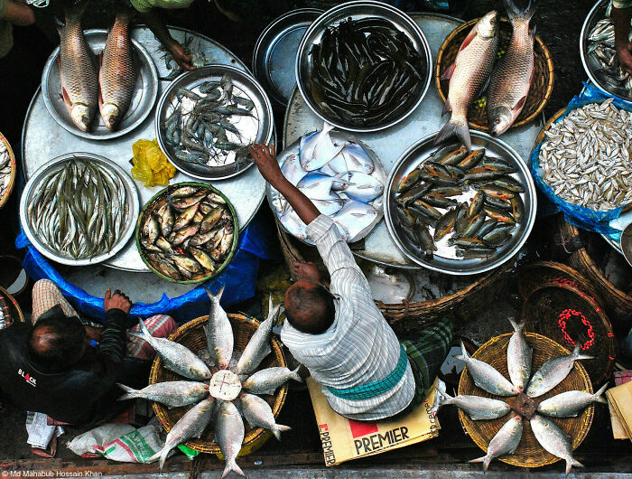 1st Place, Unearthed® Food For Sale: Selling Fish By Md Mahabub Hossain Khan (Bangladesh)