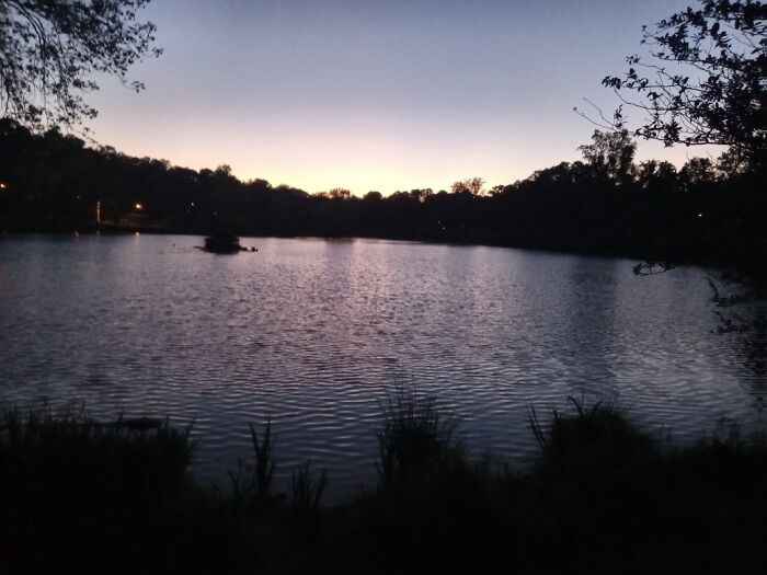 Not That Great, But It's The Best I Have From April And I'd Feel Bad About Lying To Internet Strangers