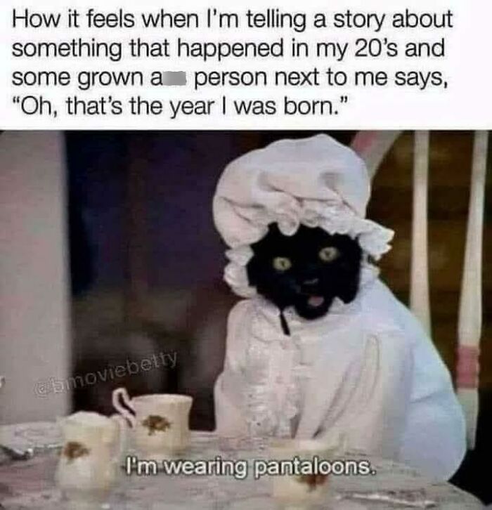 A cat humor meme featuring a black cat in vintage clothing, adding amusing charm to the scene.