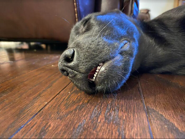 He's Still A Baby, But He's Growing Fast