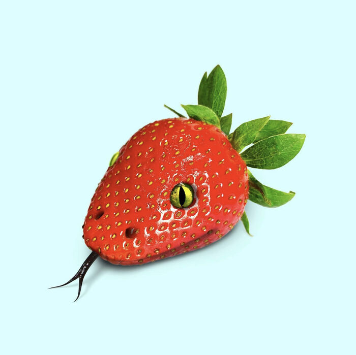 Snakeberry