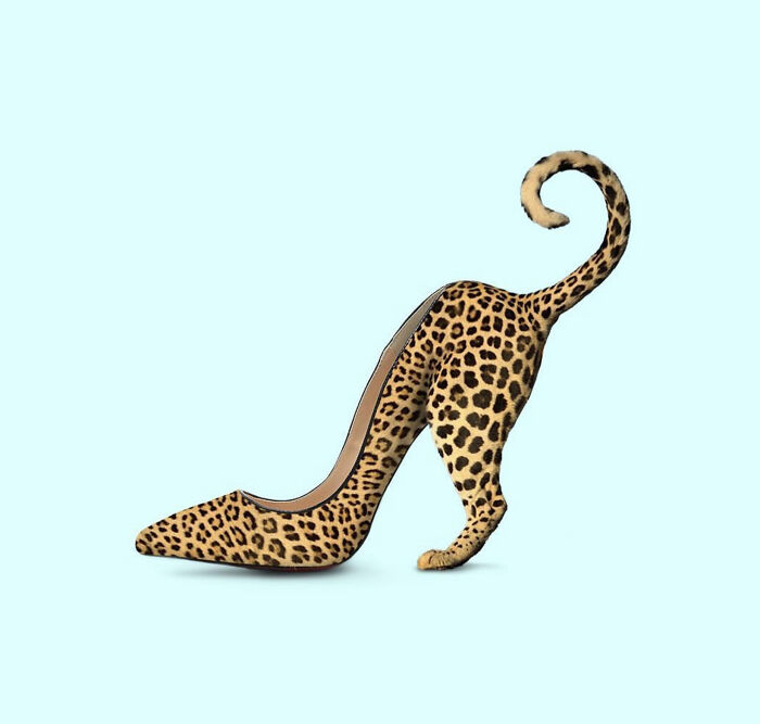 Leopard Shoe