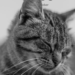 klaraaugustatonnesen avatar