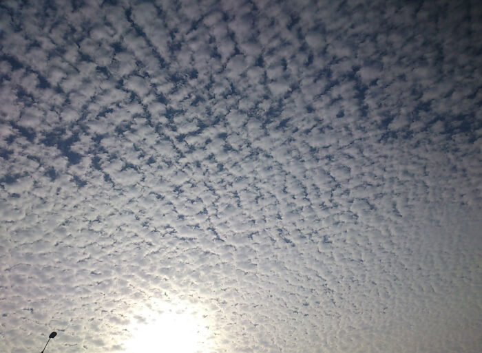 'oatmeal' Sky In 2020