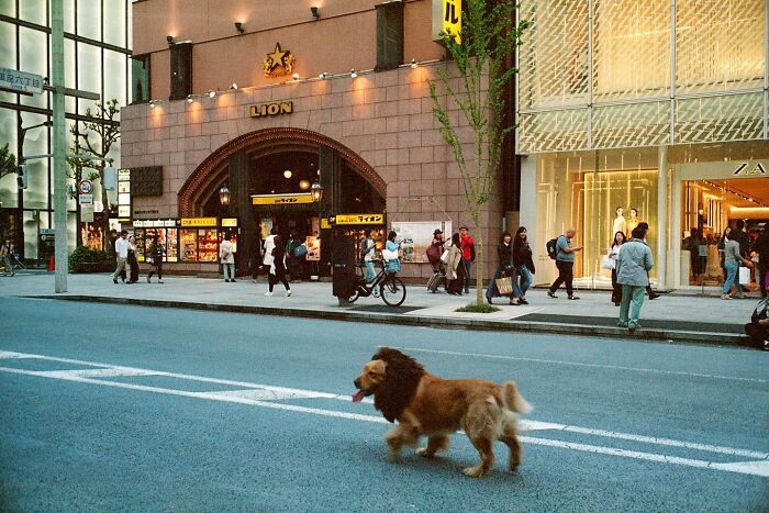 Shin Noguchi From Japan Shoots The Invisible Elements In Street Photography (New Pics)