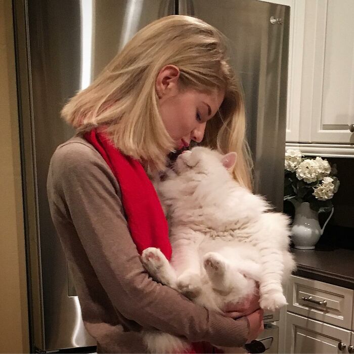 Rescued Cat Silas Surprises His Forever Family With His True Fluff Form As His Pictures Go Viral On Social Media