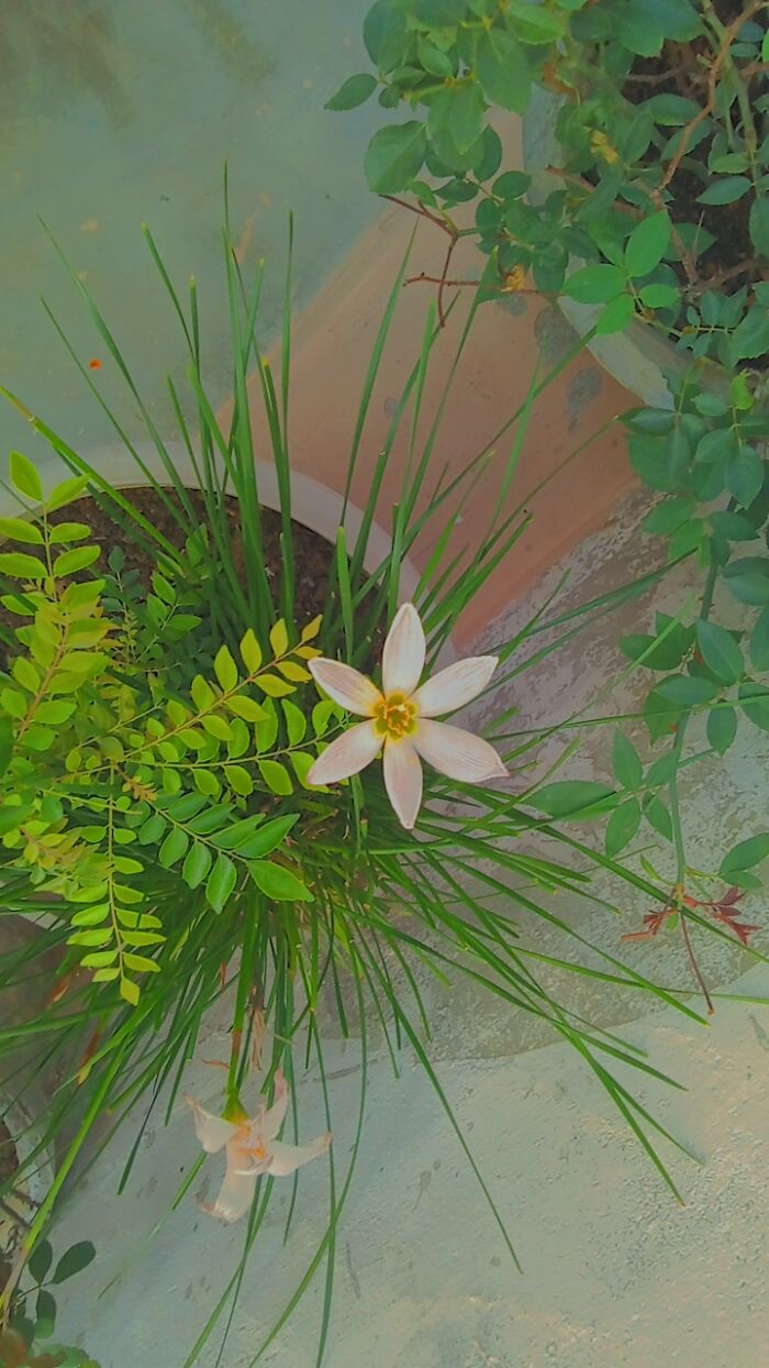 Wait For The Slide To Changee! 💗