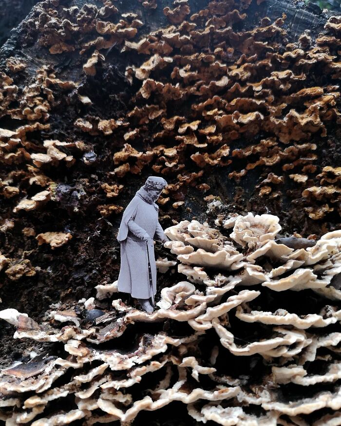 There's No Mushroom Here