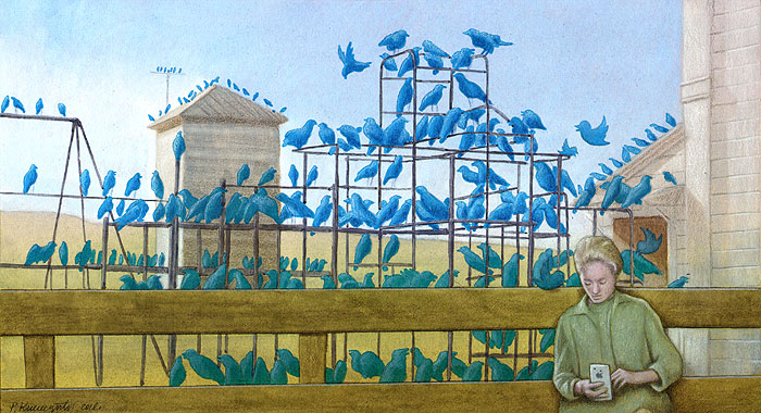 Illustrator Reveals What